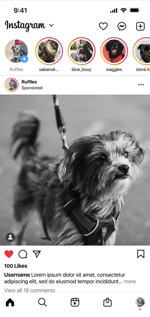 Read chats and messages on instagram  | Wahacker